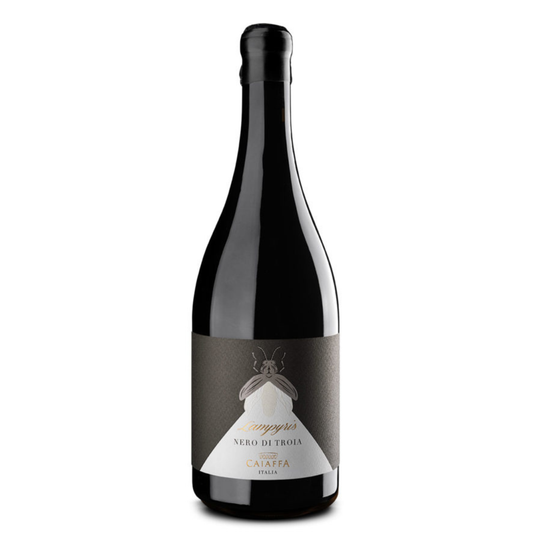 Caiaffa Lampyris Nero Di Troia